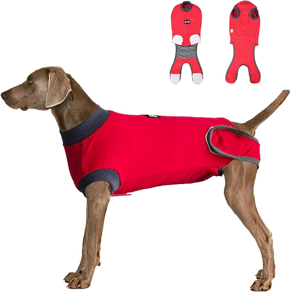 Red L Dog Recovery Suit - After Surgery Cone Alternative for Female & Male Dogs